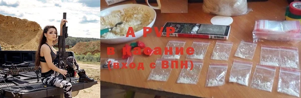 ПСИЛОЦИБИНОВЫЕ ГРИБЫ Весьегонск