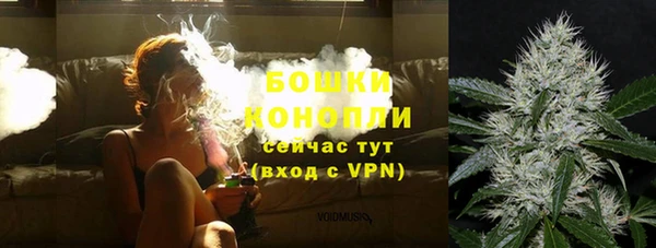 МДПВ Ветлуга