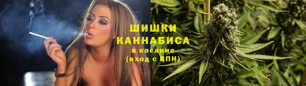 МДПВ Ветлуга