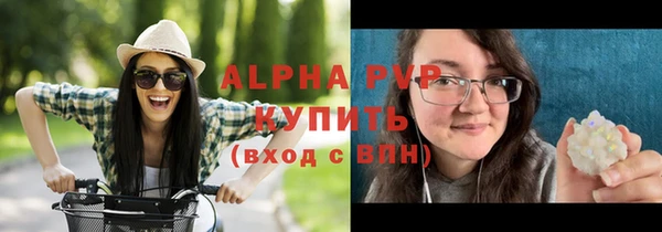 МДПВ Ветлуга