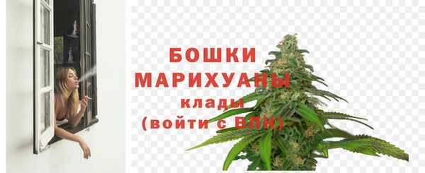 ПСИЛОЦИБИНОВЫЕ ГРИБЫ Весьегонск