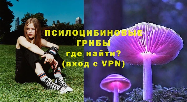 Альфа ПВП Беслан