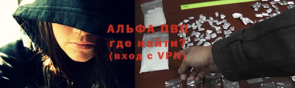 МДПВ Ветлуга