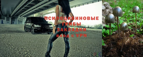 ПСИЛОЦИБИНОВЫЕ ГРИБЫ Весьегонск