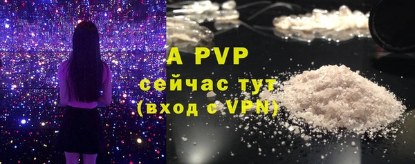МДПВ Ветлуга