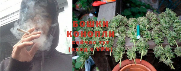 ПСИЛОЦИБИНОВЫЕ ГРИБЫ Весьегонск