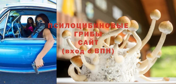 ПСИЛОЦИБИНОВЫЕ ГРИБЫ Весьегонск