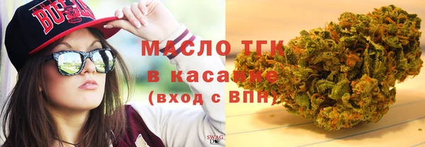 МДПВ Ветлуга