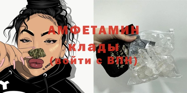 ПСИЛОЦИБИНОВЫЕ ГРИБЫ Весьегонск